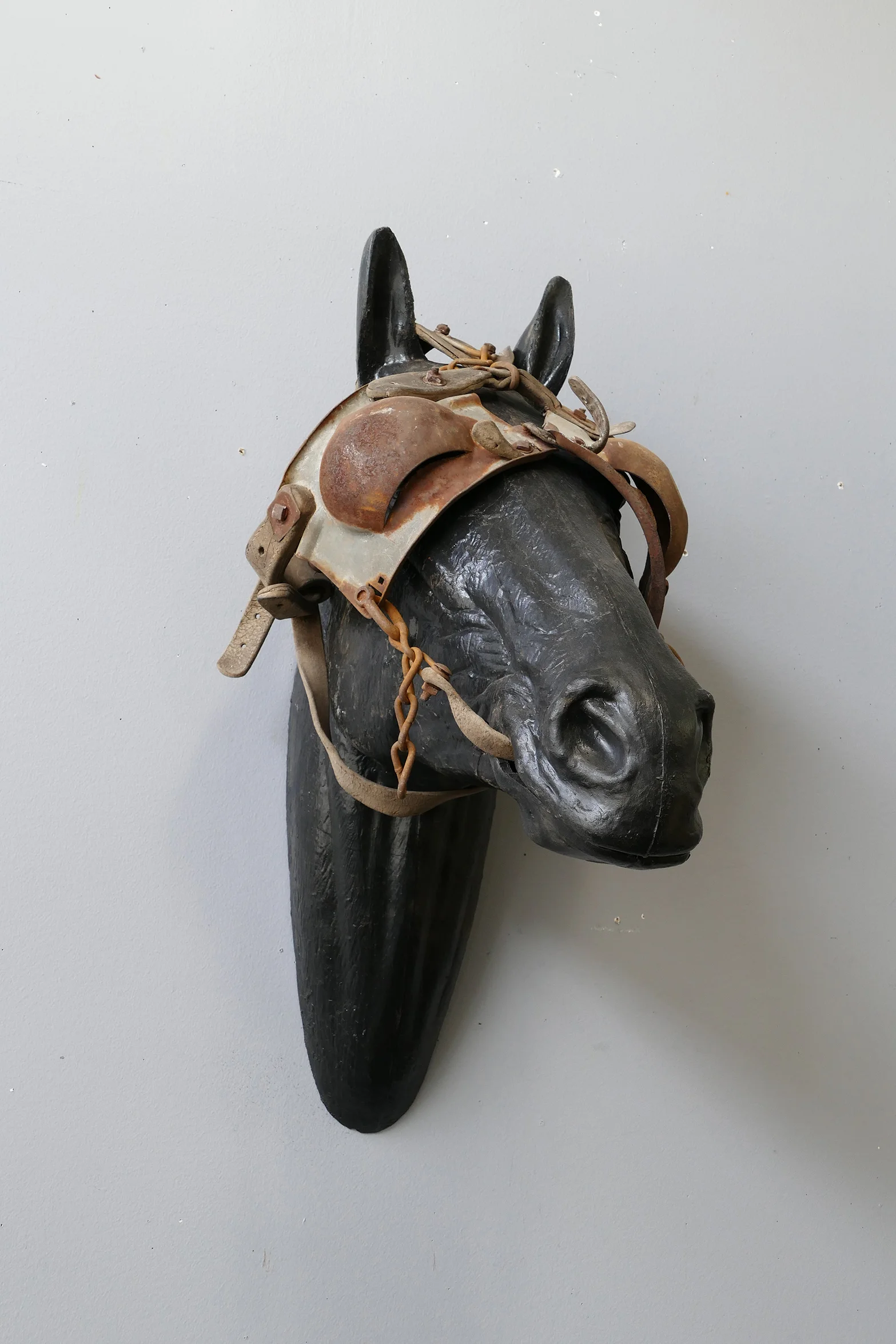 Horse with Blinders Display Mount — AGENT GALLERY CHICAGO
